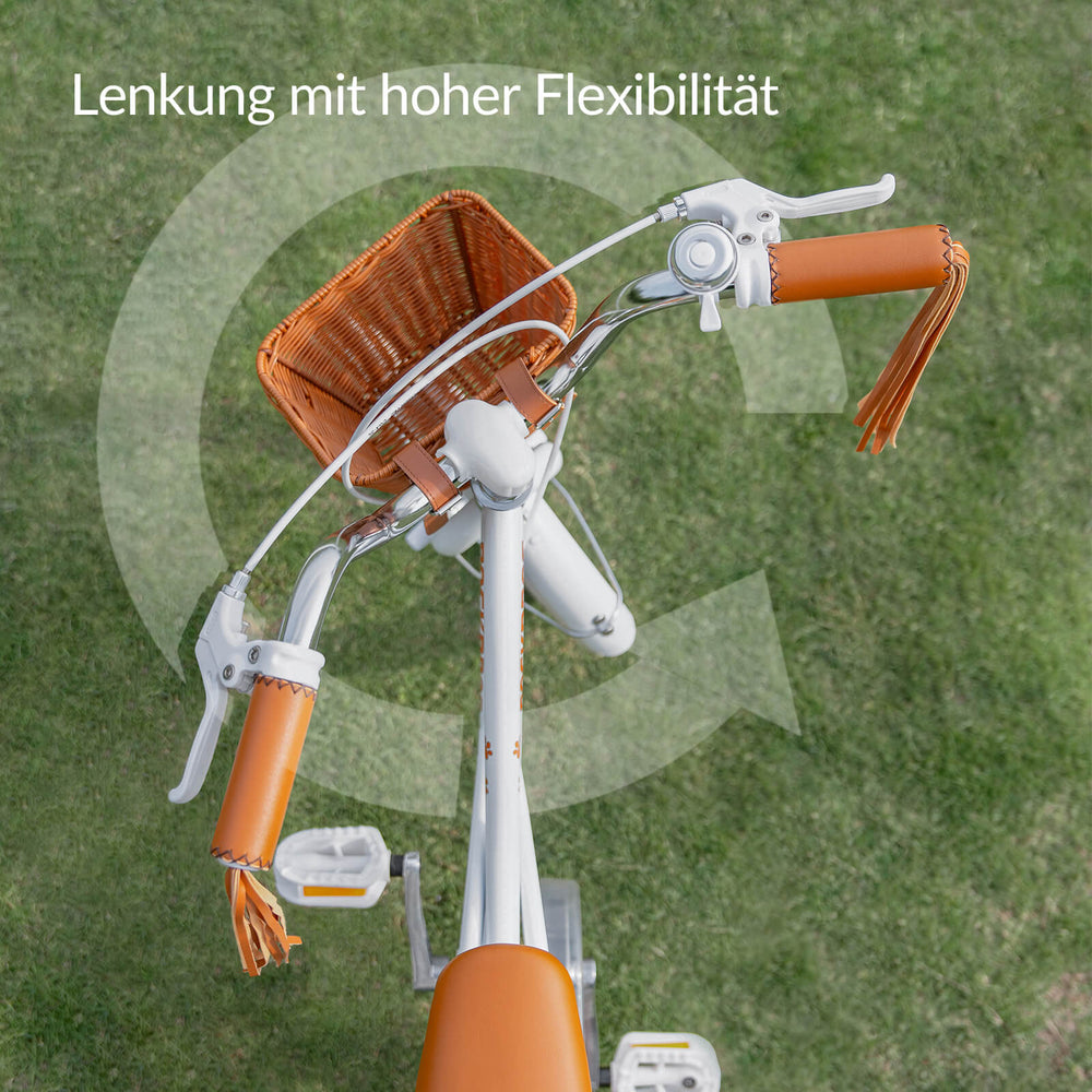 LEVO -16'' Kinderfahrrad mit Stützrädern - ROCKBROS-EU