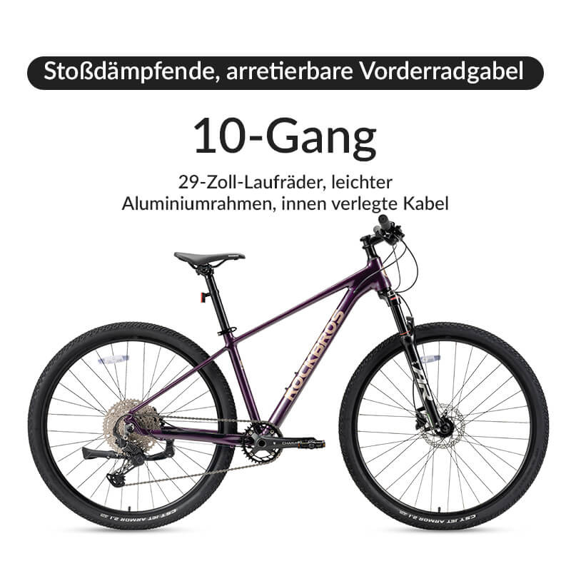 MT200 29E MTB - ROCKBROS-EU
