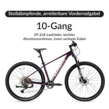 MT200 29E MTB - ROCKBROS-EU