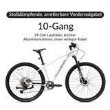 MT200 29E MTB - ROCKBROS-EU