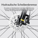 MT200 29E MTB - ROCKBROS-EU