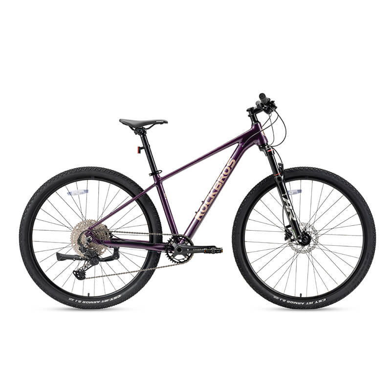 MT200 29E MTB - ROCKBROS-EU