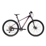 MT200 29E MTB - ROCKBROS-EU