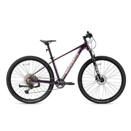 MT200 29E MTB - ROCKBROS-EU