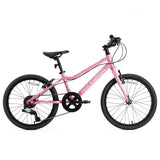 SLT 20 Zoll MTB für Kinder - ROCKBROS-EU