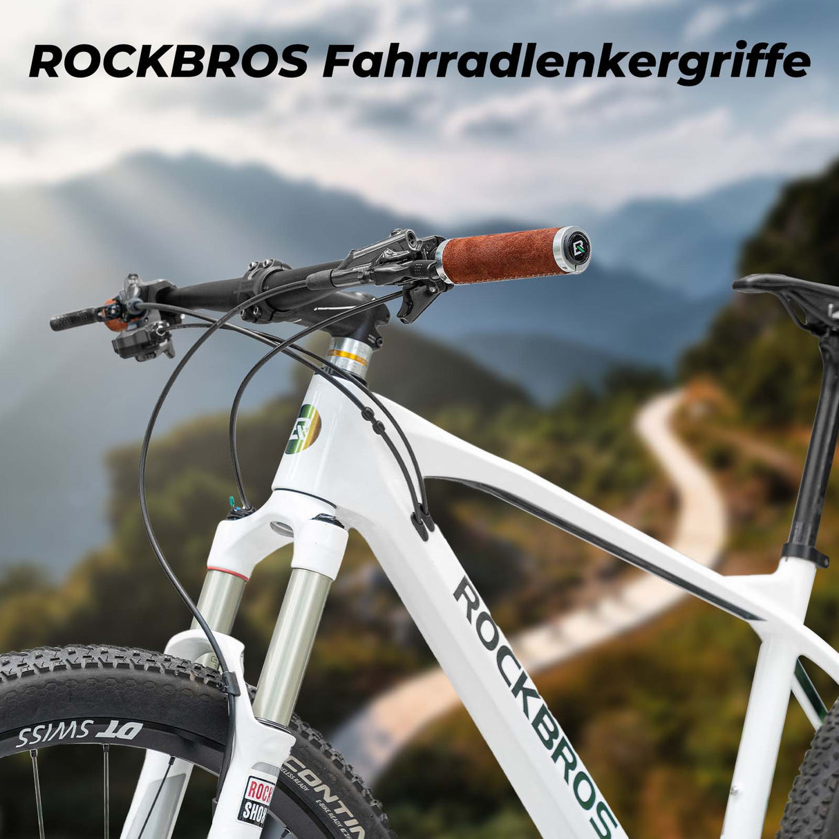 ROCKBROS MTB Griffe Ergonomisch Lenkergriffe Rutschfester für 22 mm - ROCKBROS-EU